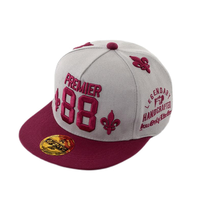 ผ้าใบยาวนาน 5 แผน หมวก Snapback หมวก 3D แต่งหมวกเบสบอล ปรับแต่ง