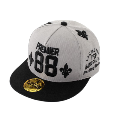 ผ้าใบยาวนาน 5 แผน หมวก Snapback หมวก 3D แต่งหมวกเบสบอล ปรับแต่ง