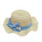 Pantone Color Wide Brim Straw Hat Womens Beach Hats โลโก้ที่กำหนดเอง